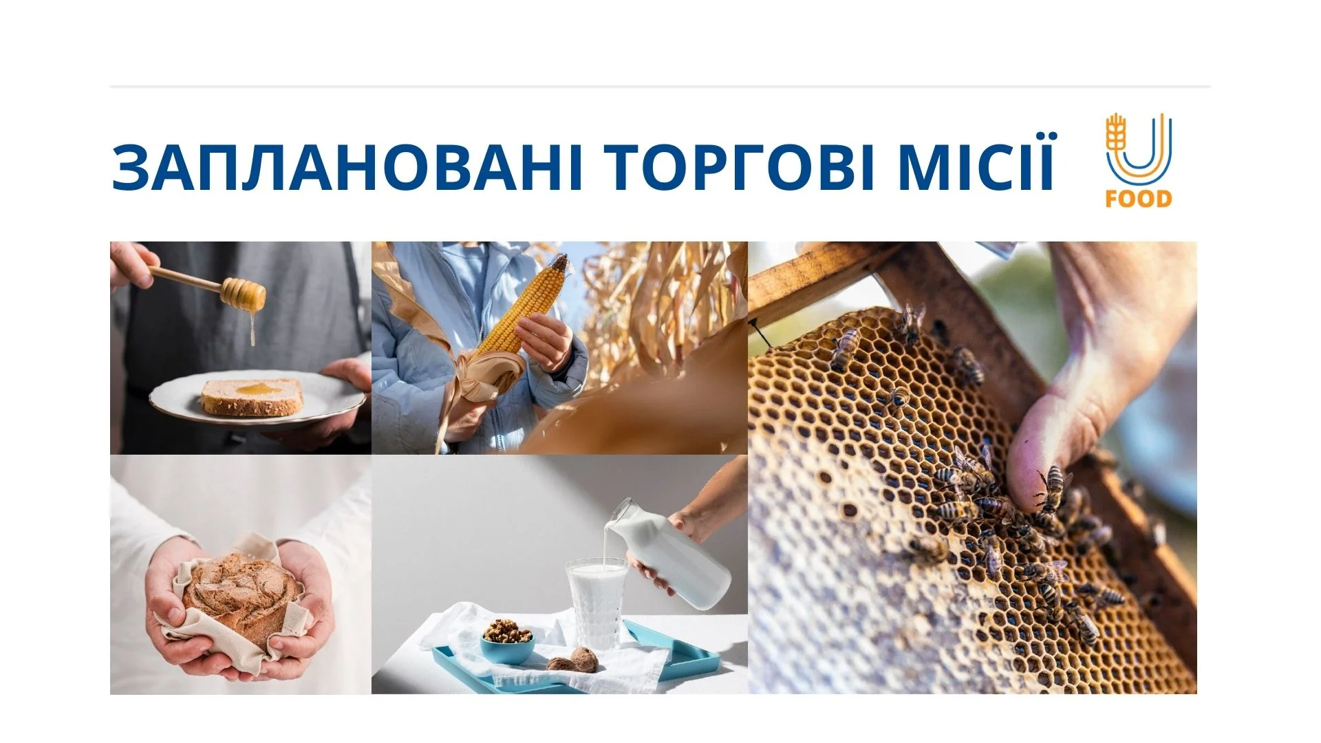 торгові місії